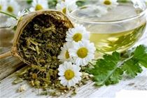 Trị nám da mặt bằng phương pháp dân gian Trị nám da mặt bằng phương pháp dân gian