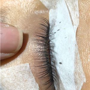 Chia Sẻ Cách Nối Mi Bắc Cầu Sợi Tóc Qua Chân Mi Chia Sẻ Cách Nối Mi Bắc Cầu Sợi Tóc Qua Chân Mi