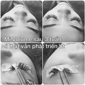 Nối Mi giải pháp làm đẹp cho mùa hè năng động Nối Mi giải pháp làm đẹp cho mùa hè năng động