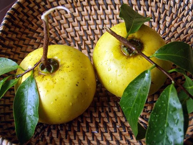 Trị nám da mặt từ quả thị Trị nám da mặt từ quả thị
