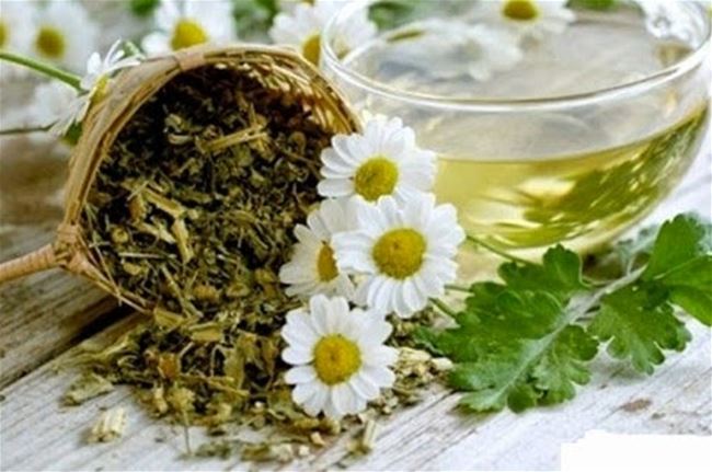 Trị nám da từ thảo dược Trị nám da từ thảo dược