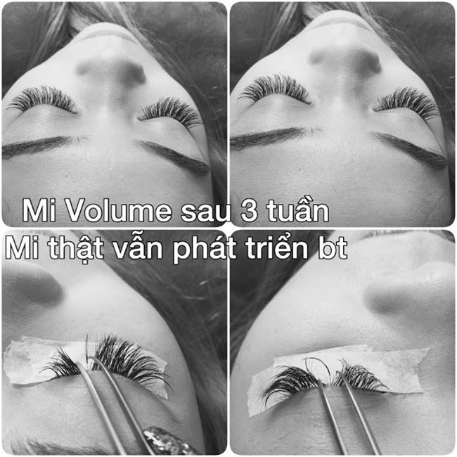nối mi cho đôi mắt năng động hơn nối mi cho đôi mắt năng động hơn
